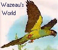Back to Wazeau's World